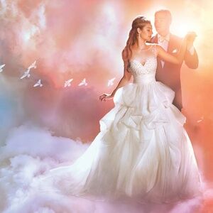 Alfred Angelo Disney Fairytale Sleeping Beauty Style # 260 - New